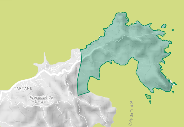 carte RNN caravelle