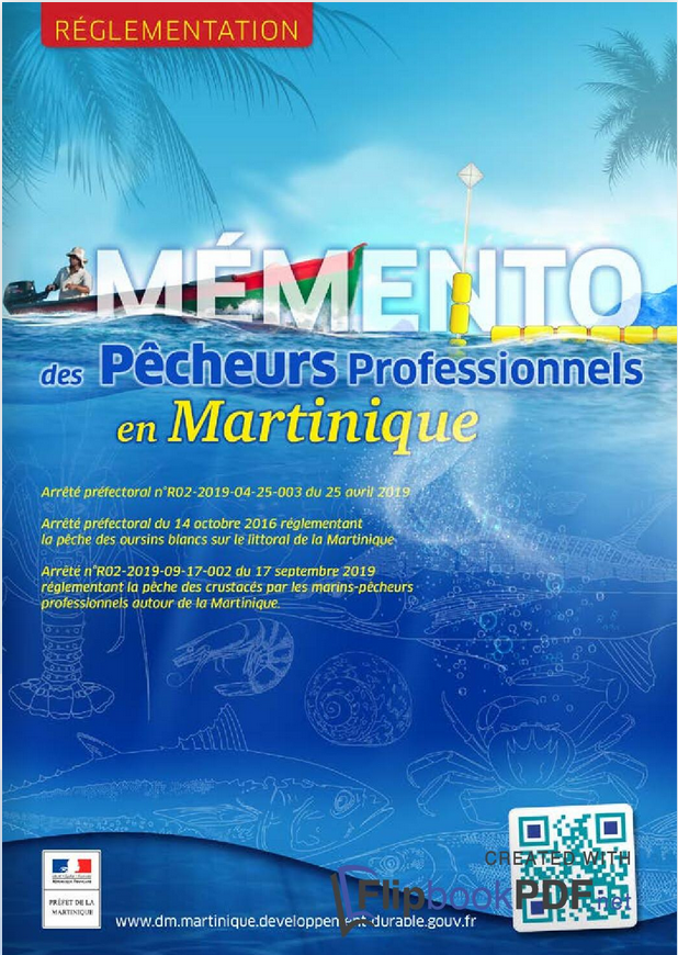 memento peche pro