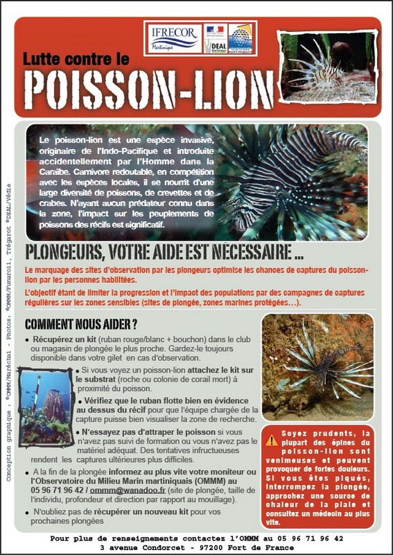 En Méditerranée, l'inquiétante invasion du poisson-lion, prédateur  redoutable